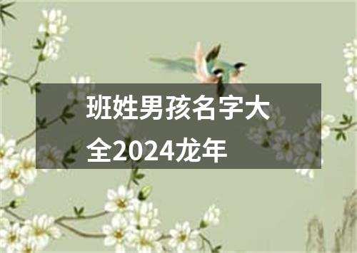 班姓男孩名字大全2024龙年