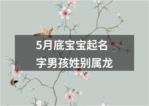 5月底宝宝起名字男孩姓别属龙