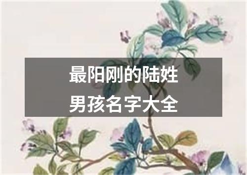 最阳刚的陆姓男孩名字大全