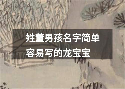 姓董男孩名字简单容易写的龙宝宝