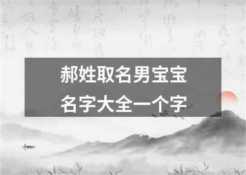 郝姓取名男宝宝名字大全一个字