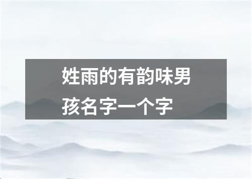 姓雨的有韵味男孩名字一个字