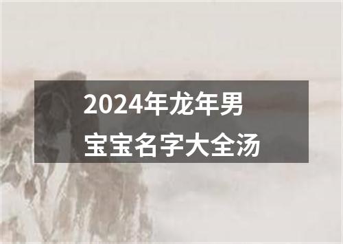 2024年龙年男宝宝名字大全汤