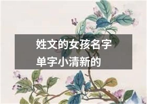 姓文的女孩名字单字小清新的