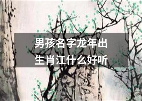 男孩名字龙年出生肖江什么好听