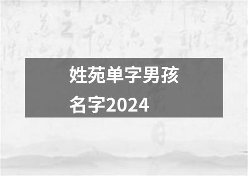 姓苑单字男孩名字2024