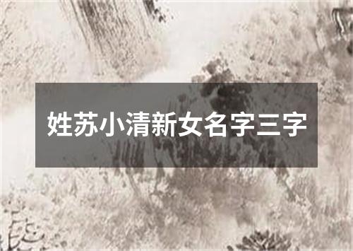 姓苏小清新女名字三字