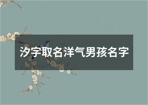 汐字取名洋气男孩名字