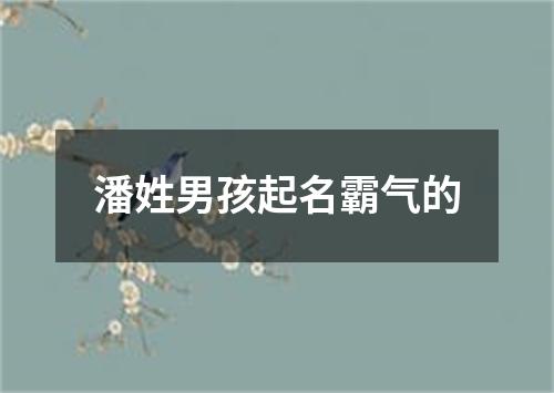 潘姓男孩起名霸气的