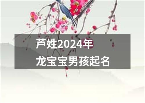 芦姓2024年龙宝宝男孩起名