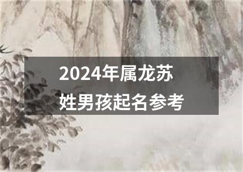 2024年属龙苏姓男孩起名参考