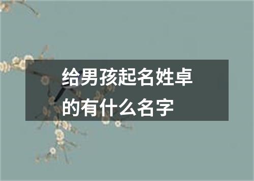 给男孩起名姓卓的有什么名字