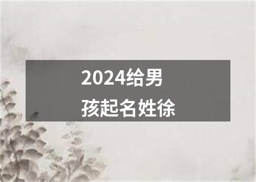 2024给男孩起名姓徐