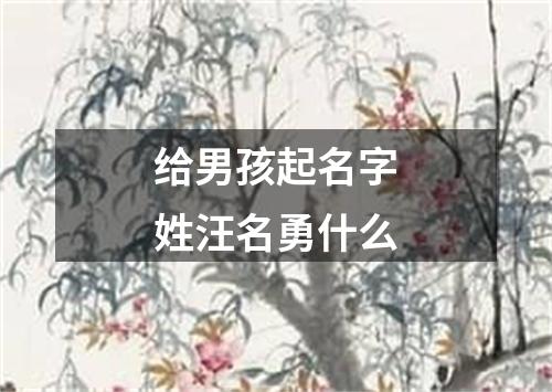 给男孩起名字姓汪名勇什么