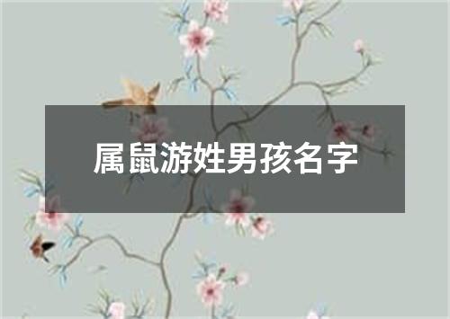 属鼠游姓男孩名字