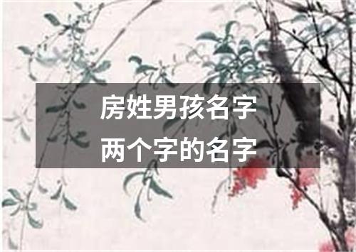 房姓男孩名字两个字的名字