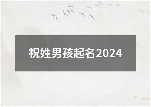 祝姓男孩起名2024