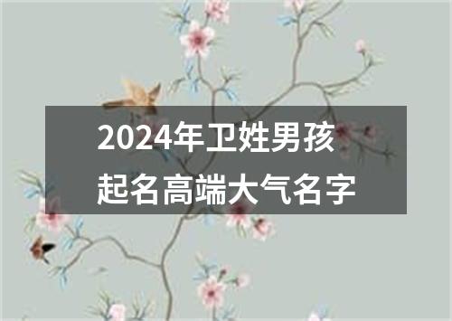 2024年卫姓男孩起名高端大气名字