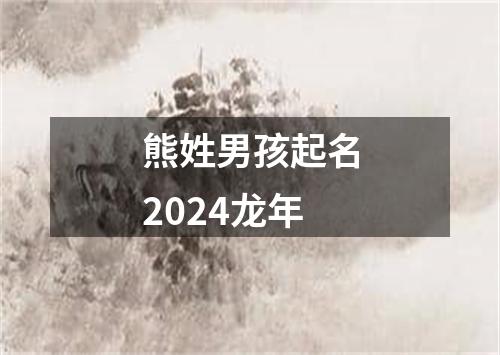 熊姓男孩起名2024龙年