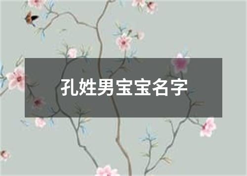 孔姓男宝宝名字