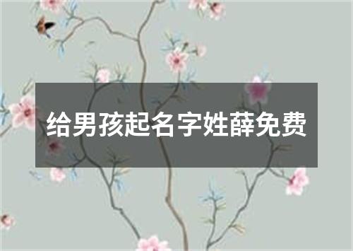 给男孩起名字姓薛免费