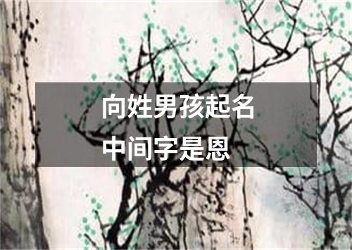 向姓男孩起名中间字是恩