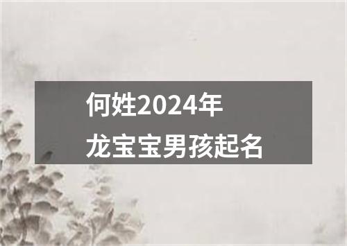 何姓2024年龙宝宝男孩起名