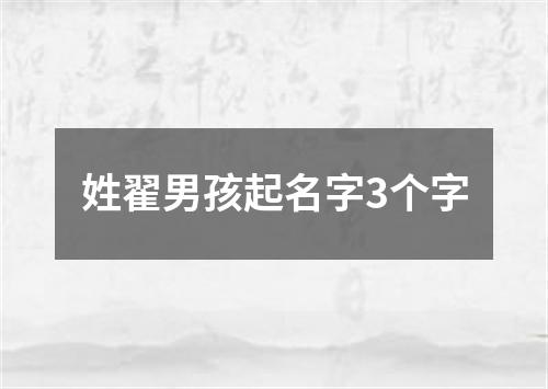 姓翟男孩起名字3个字