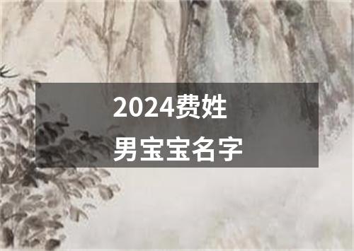 2024费姓男宝宝名字