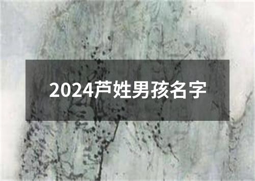 2024芦姓男孩名字