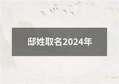 邸姓取名2024年