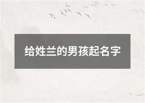 给姓兰的男孩起名字