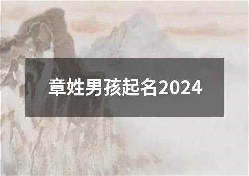 章姓男孩起名2024