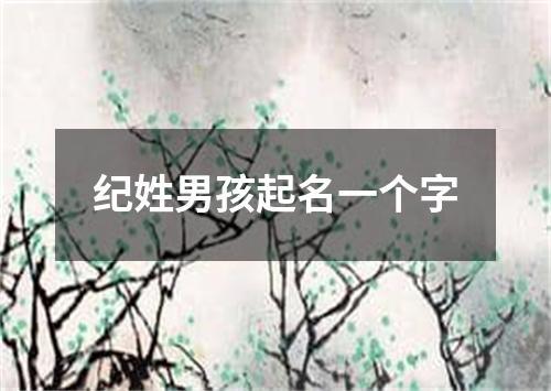 纪姓男孩起名一个字