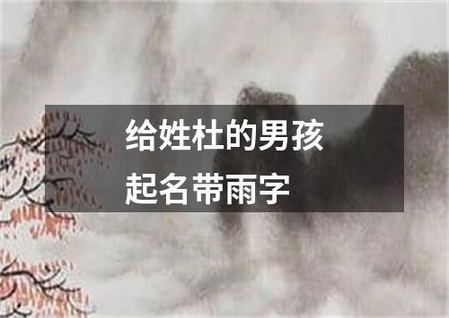 给姓杜的男孩起名带雨字