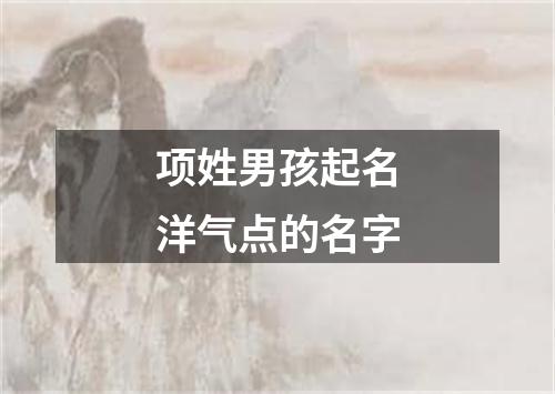 项姓男孩起名洋气点的名字