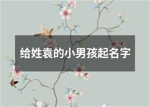 给姓袁的小男孩起名字