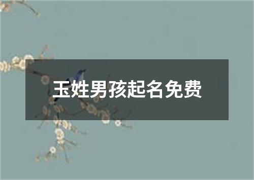 玉姓男孩起名免费