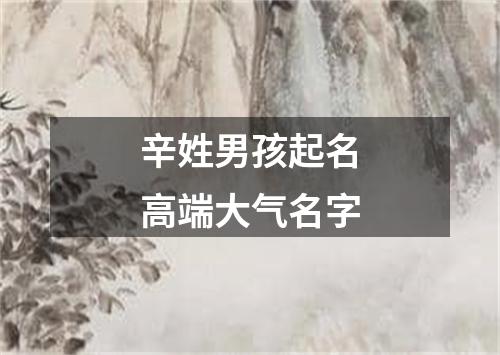 辛姓男孩起名高端大气名字