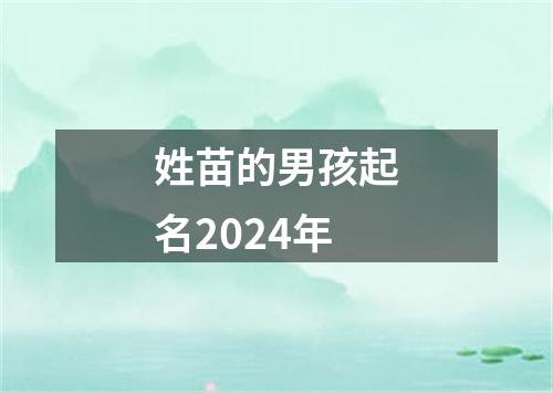 姓苗的男孩起名2024年