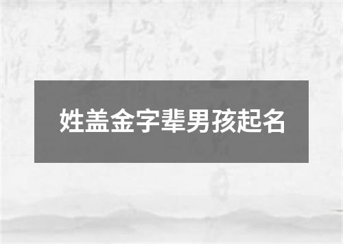 姓盖金字辈男孩起名