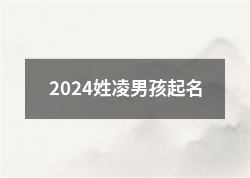 2024姓凌男孩起名