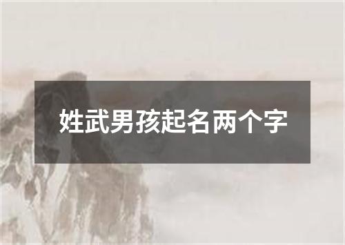 姓武男孩起名两个字