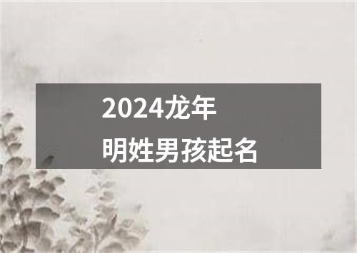 2024龙年明姓男孩起名