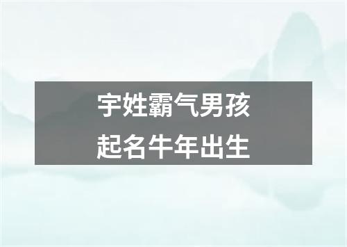 宇姓霸气男孩起名牛年出生