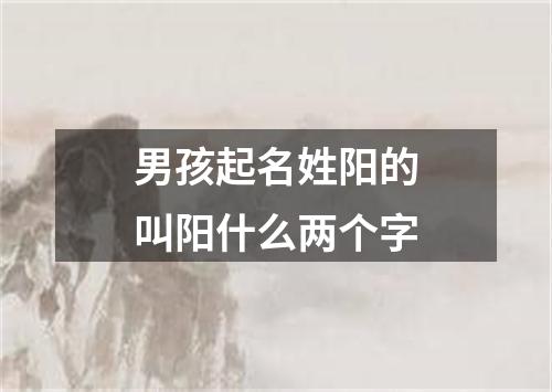 男孩起名姓阳的叫阳什么两个字