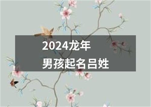 2024龙年男孩起名吕姓