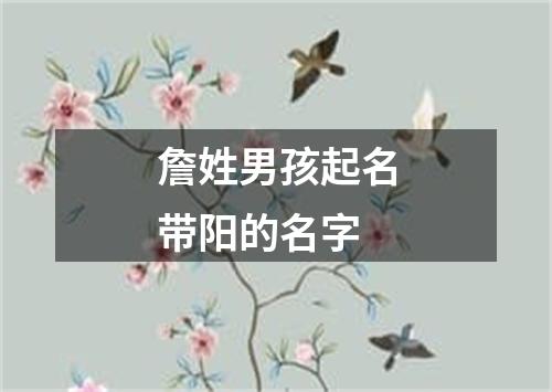 詹姓男孩起名带阳的名字