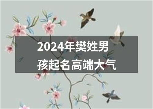 2024年樊姓男孩起名高端大气