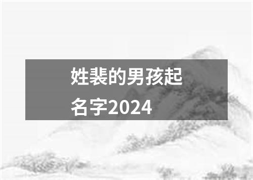 姓裴的男孩起名字2024